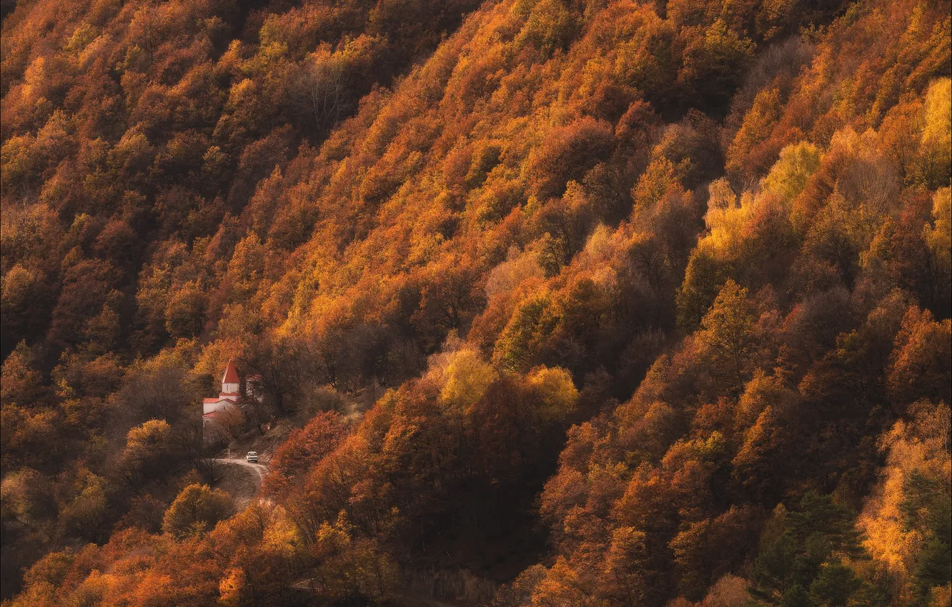 Photo wallpaper machine, trees, temple, the view from the top, Vlad Sokolovsky, bird's-eye view, Svan autumn