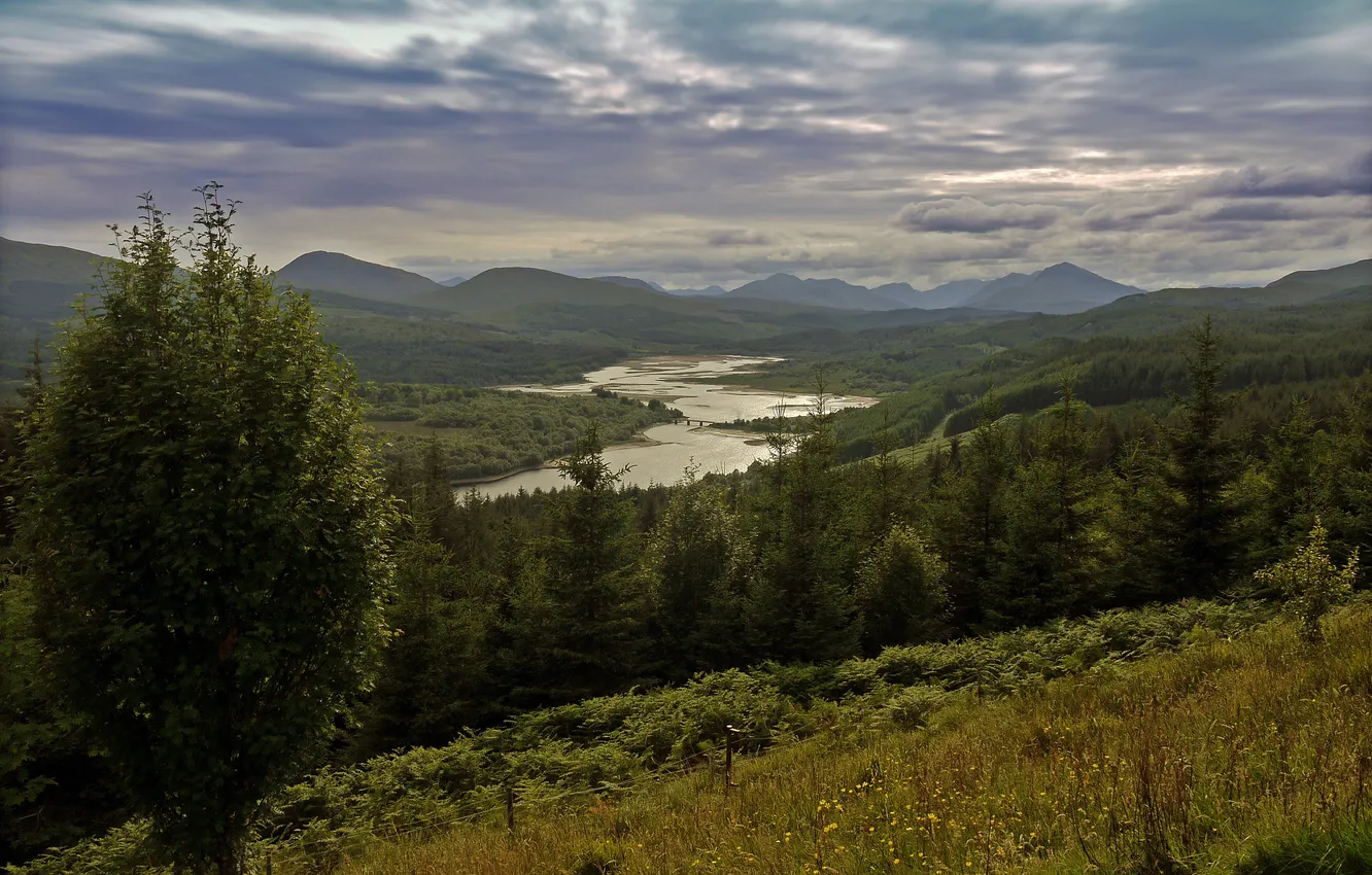 Photo wallpaper forest, mountains, clouds, river, tree, Scotland