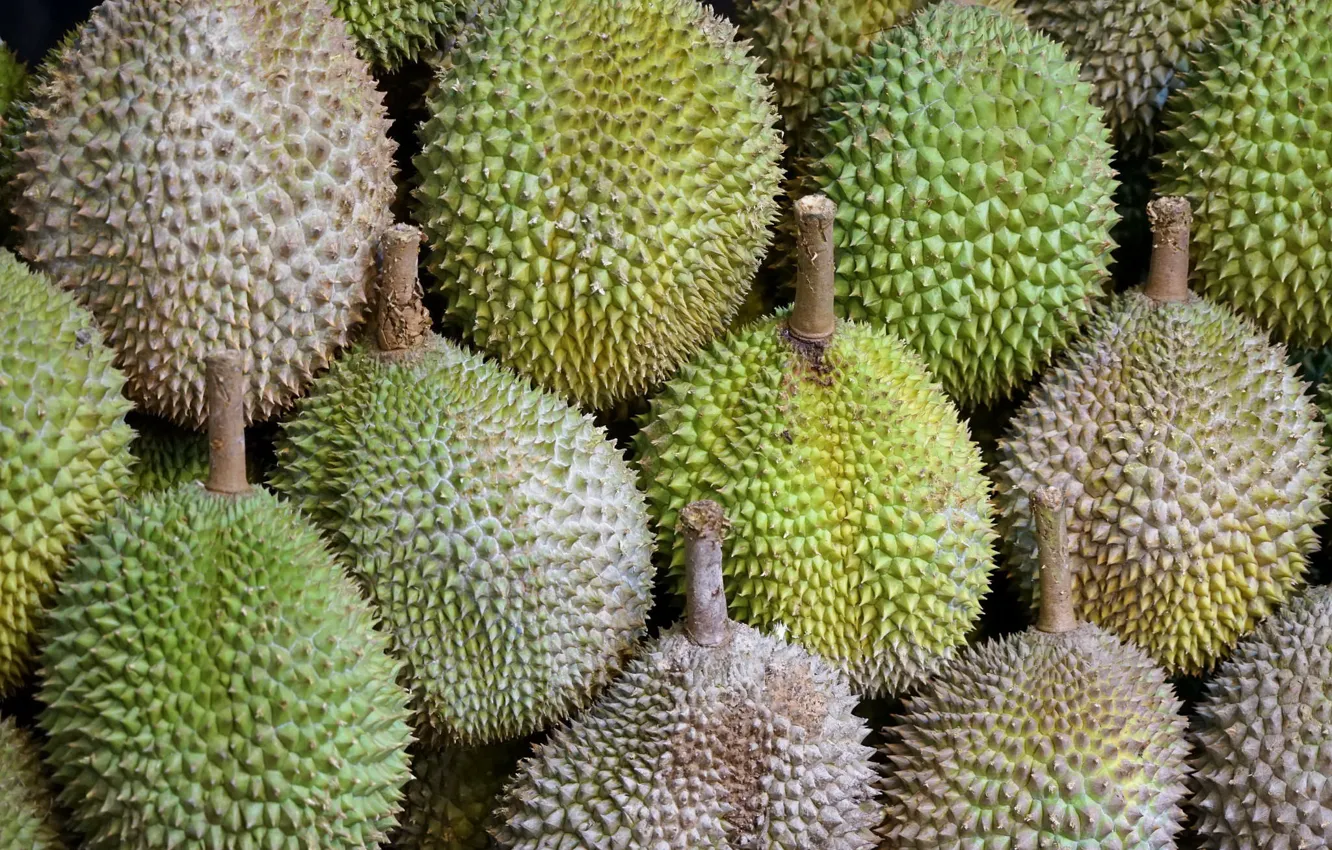 Photo wallpaper macro, food, durian fruit