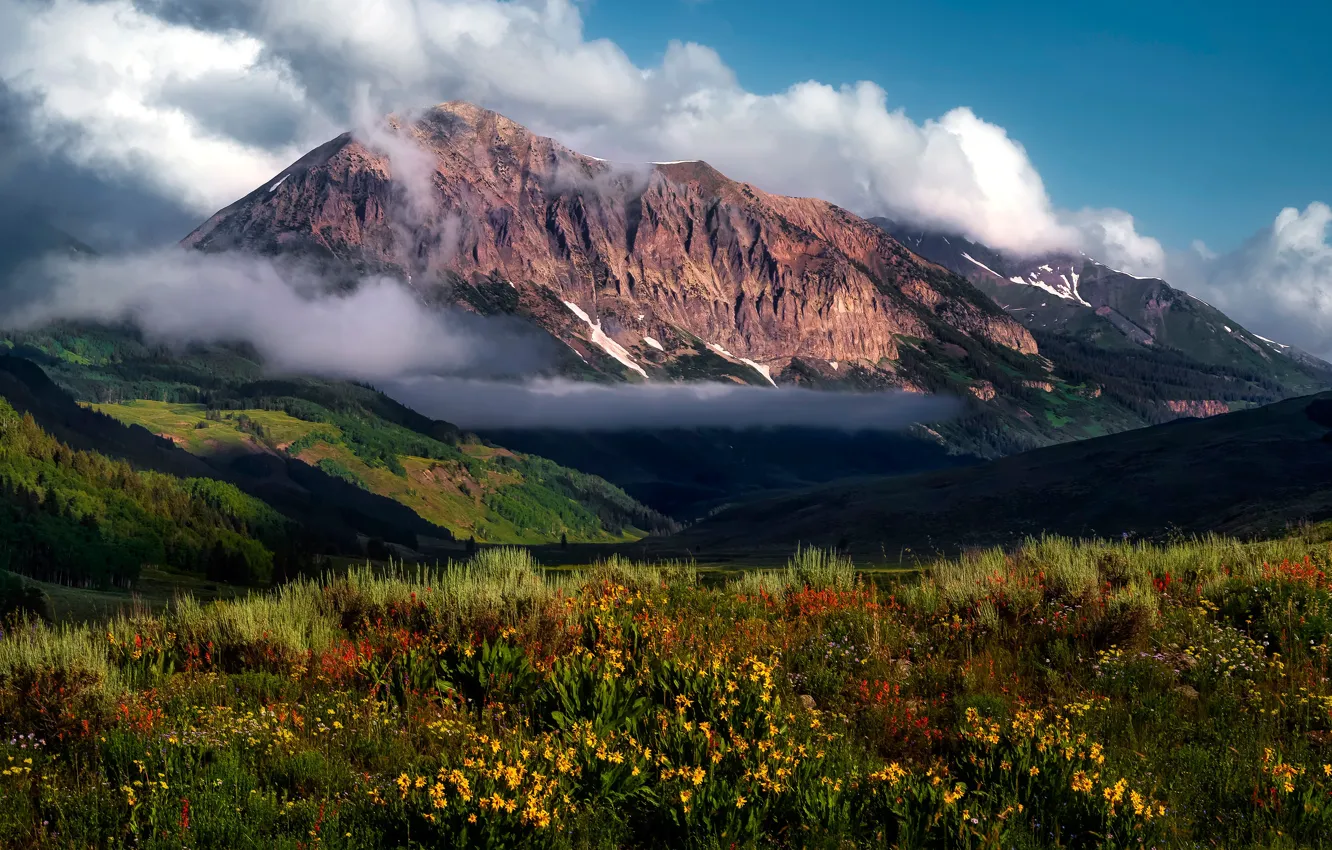 Photo wallpaper summer, the sky, clouds, flowers, mountains, fog, hills, tops