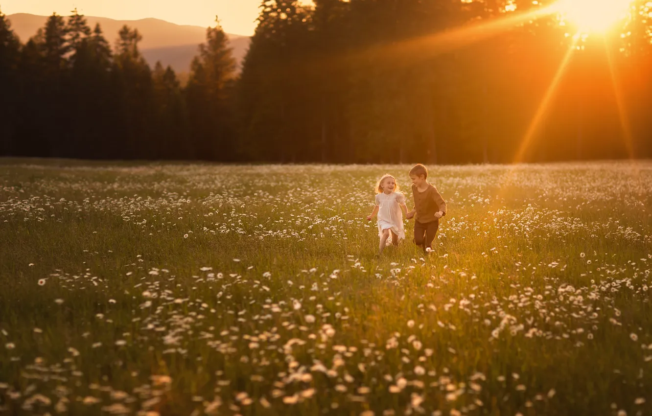 Photo wallpaper field, forest, the sun, rays, light, joy, sunset, flowers