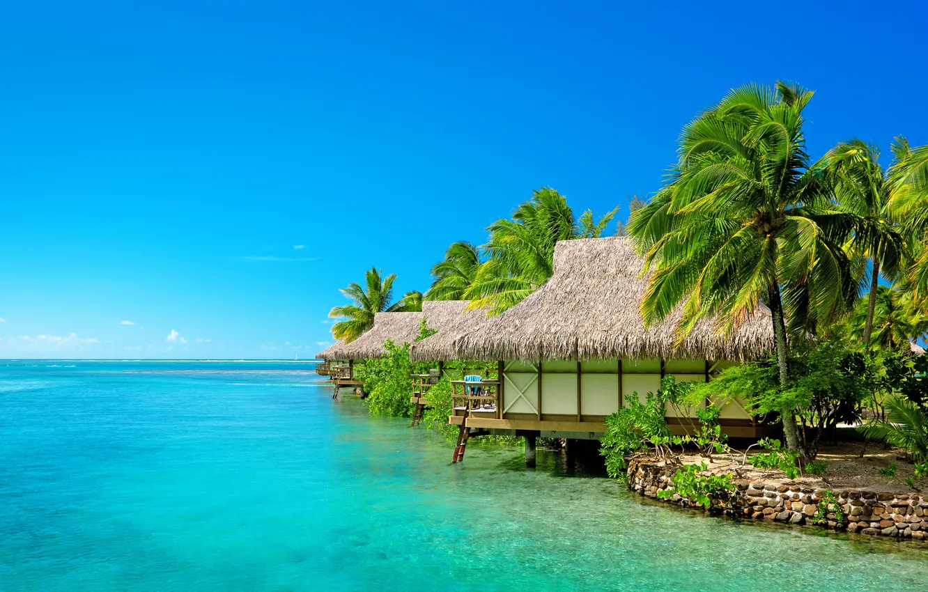 Photo wallpaper sea, beach, the sky, palm trees, the wind, The Maldives, resort, Bungalow