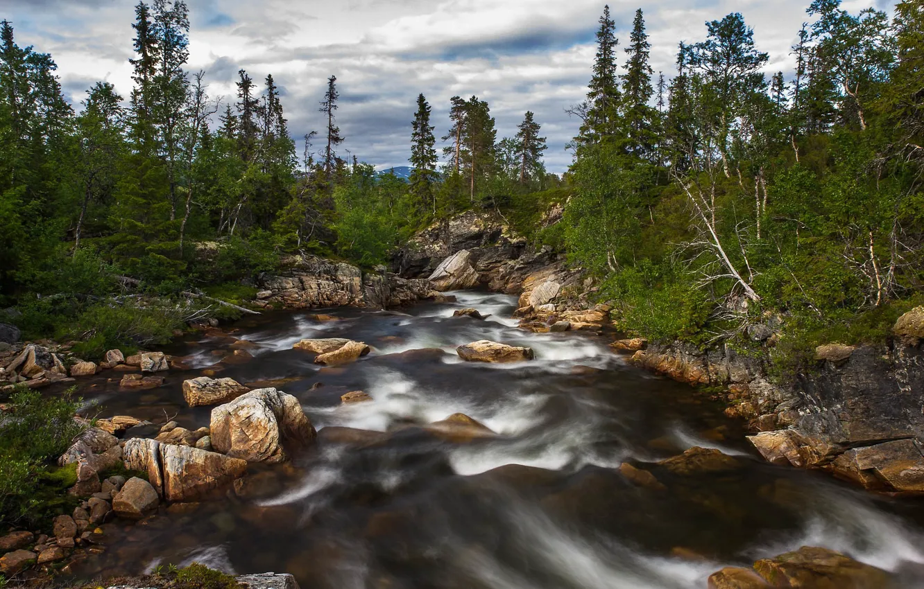 Photo wallpaper forest, stones, Norway, river