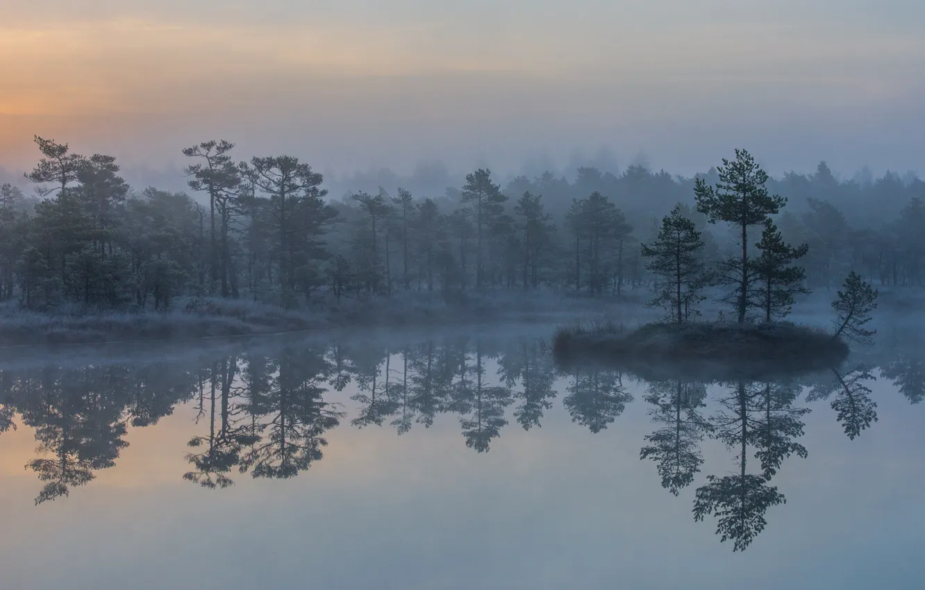 Photo wallpaper trees, fog, rock, lake, island