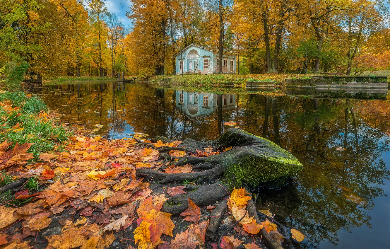 Photo wallpaper trees, water, autumn, reflection, construction