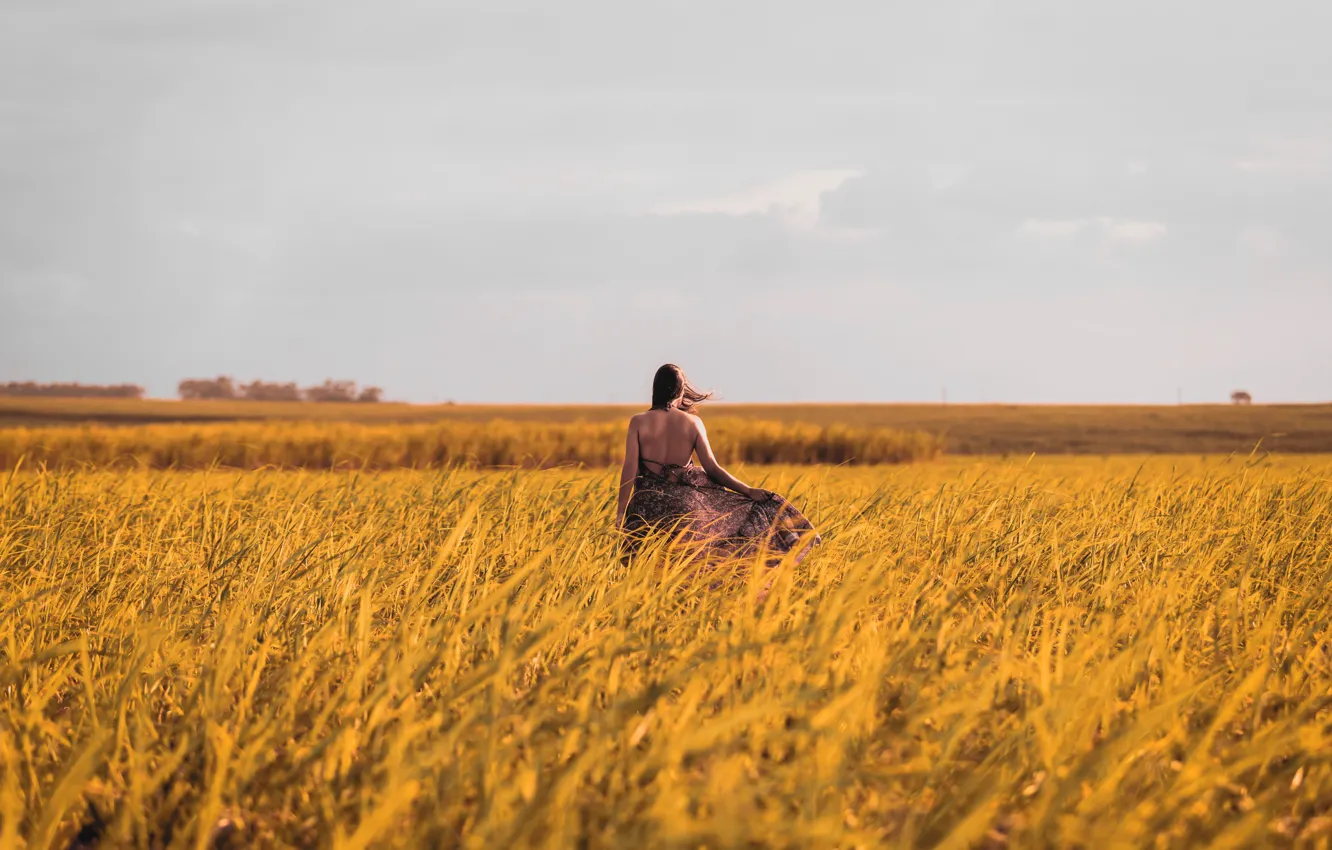 Photo wallpaper ears, grass, field, brown hair, sundress, horizon, dal