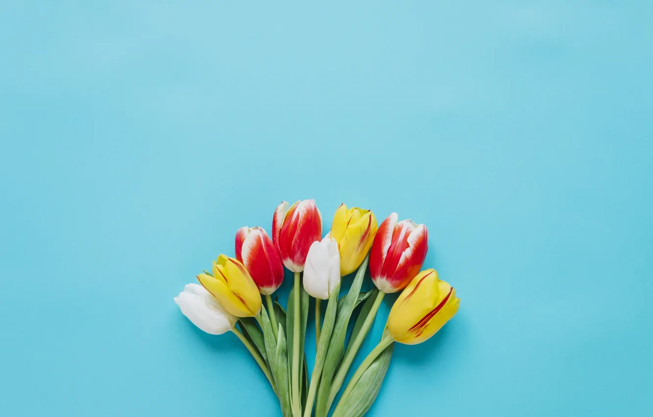 Photo wallpaper flowers, bouquet, tulips