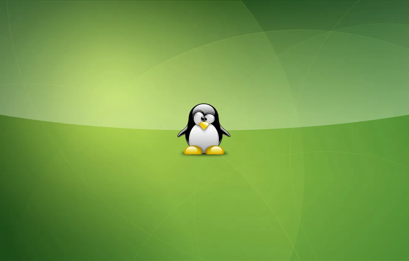 Photo wallpaper green, linux, Tux