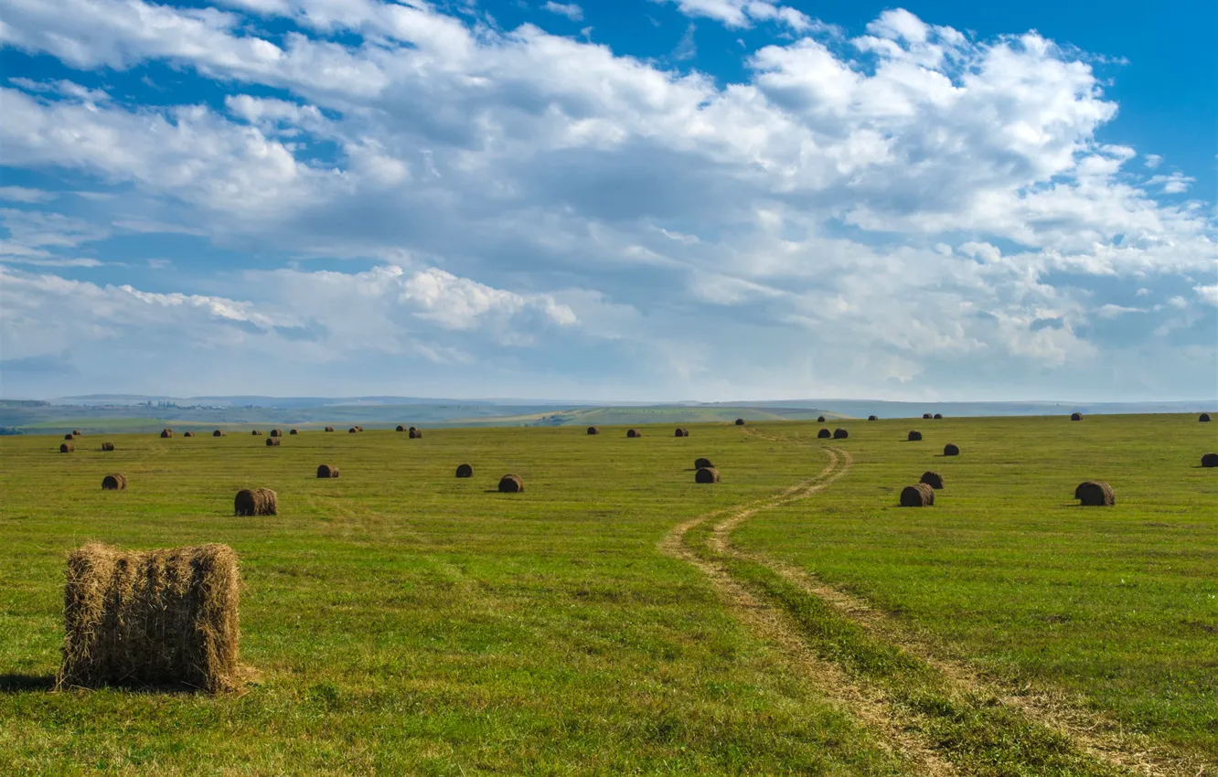 Photo wallpaper field, the sky, grass, clouds, green, dal, plain, horizon