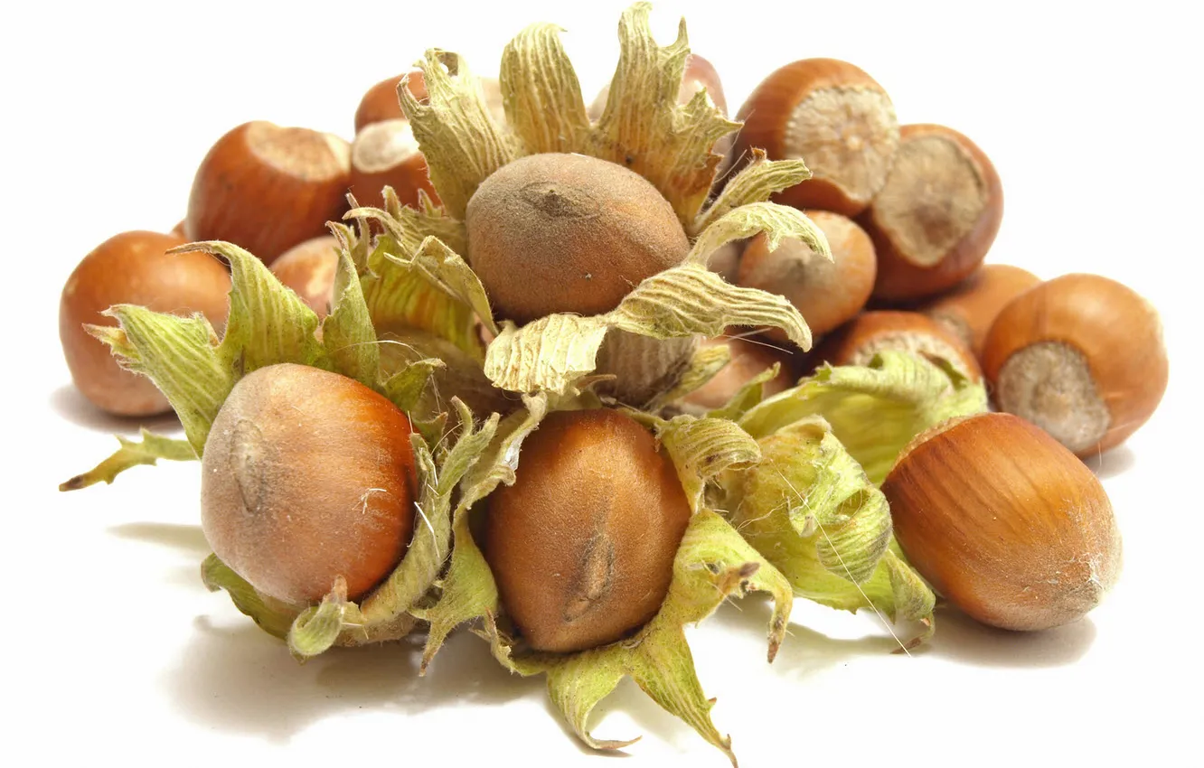 Photo wallpaper white background, nuts, hazelnuts