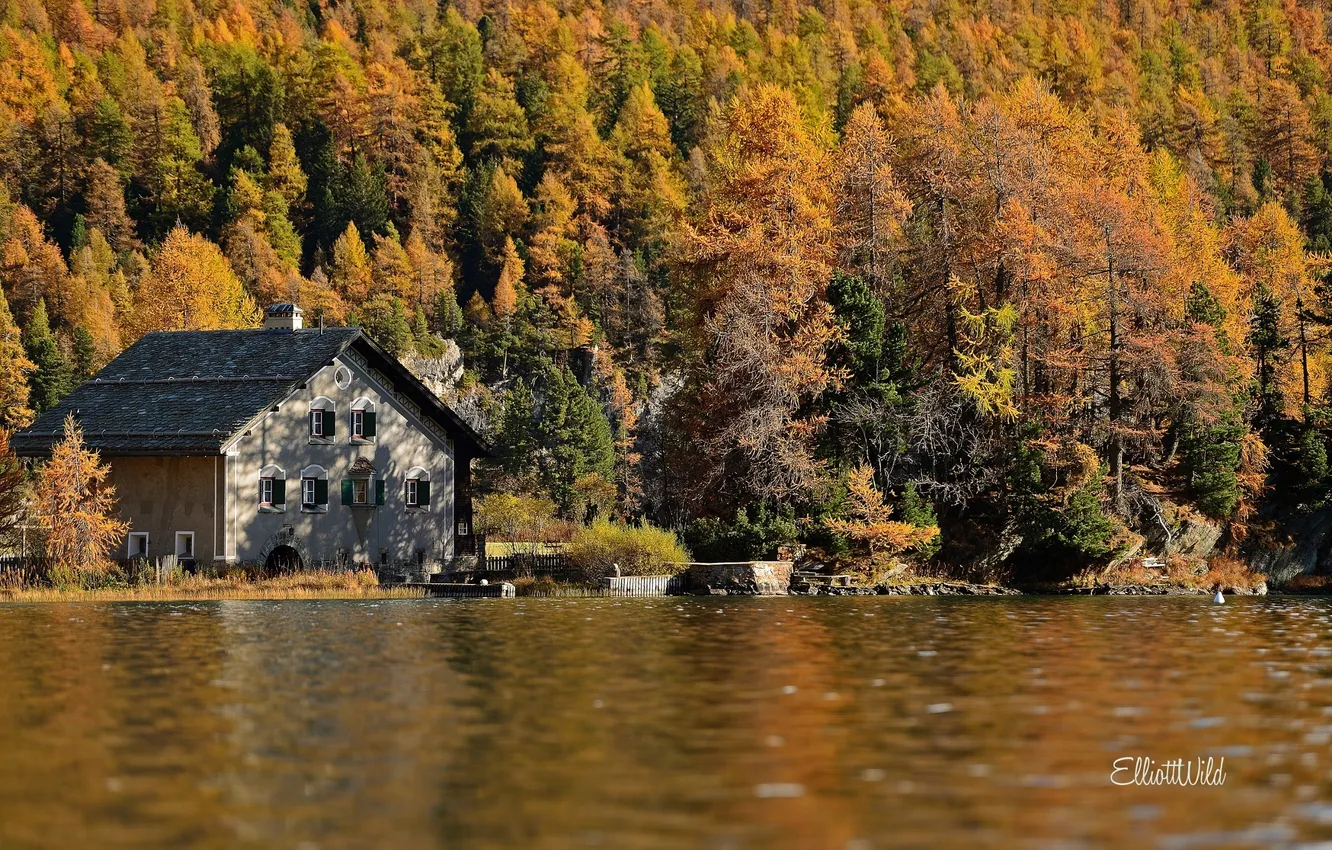 Photo wallpaper autumn, forest, nature, house, river, Villa