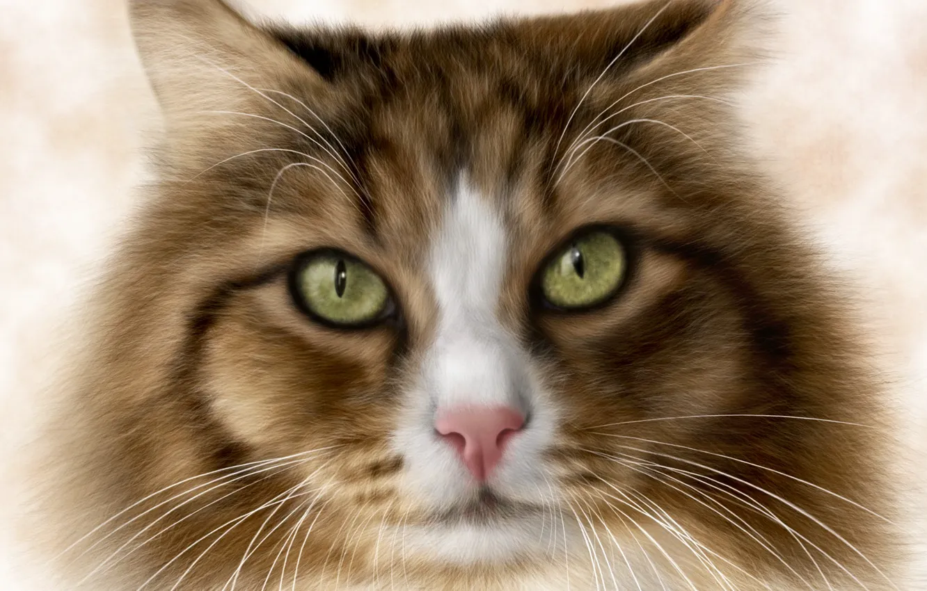 Photo wallpaper cat, eyes, cat, rendering, background, Koshak