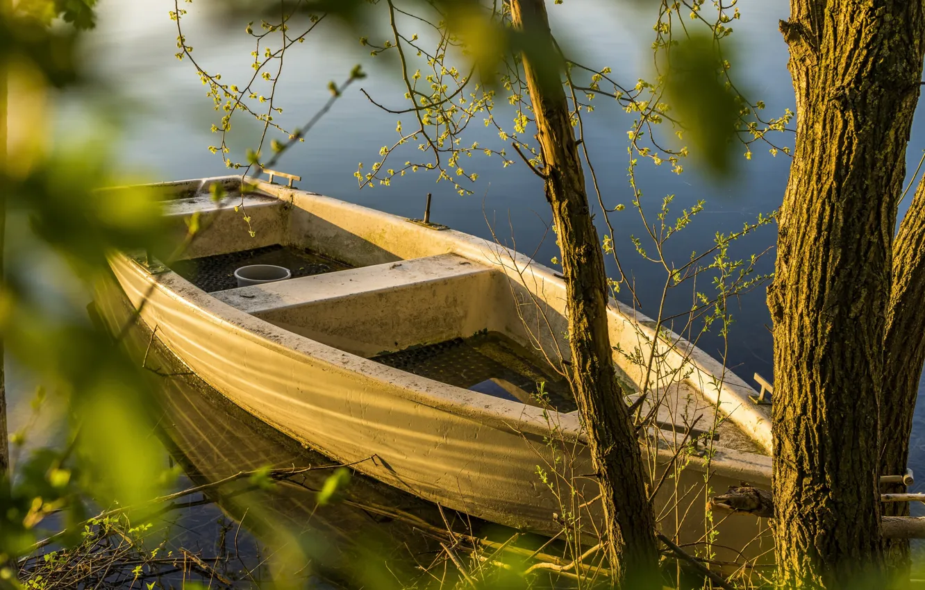 Photo wallpaper trees, lake, boat, backwater