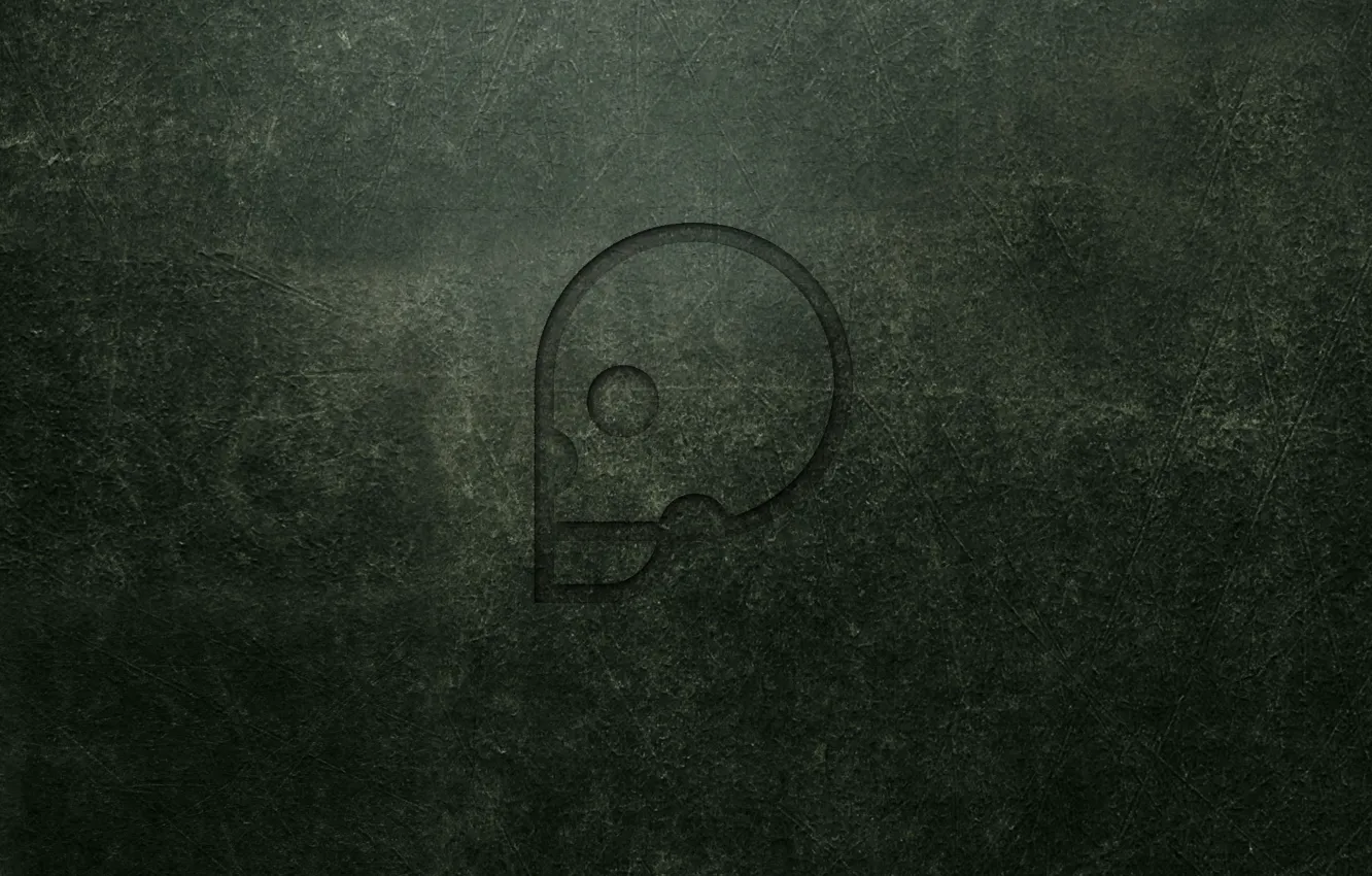 Photo wallpaper wall, skull, minimalism
