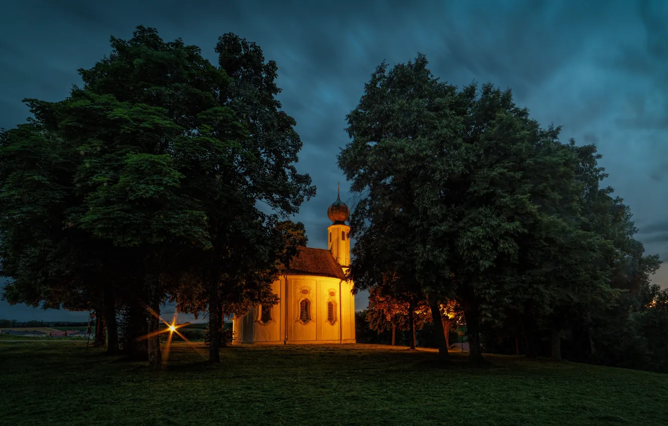 Photo wallpaper summer, the sky, light, trees, sunflowers, flowers, night, clouds