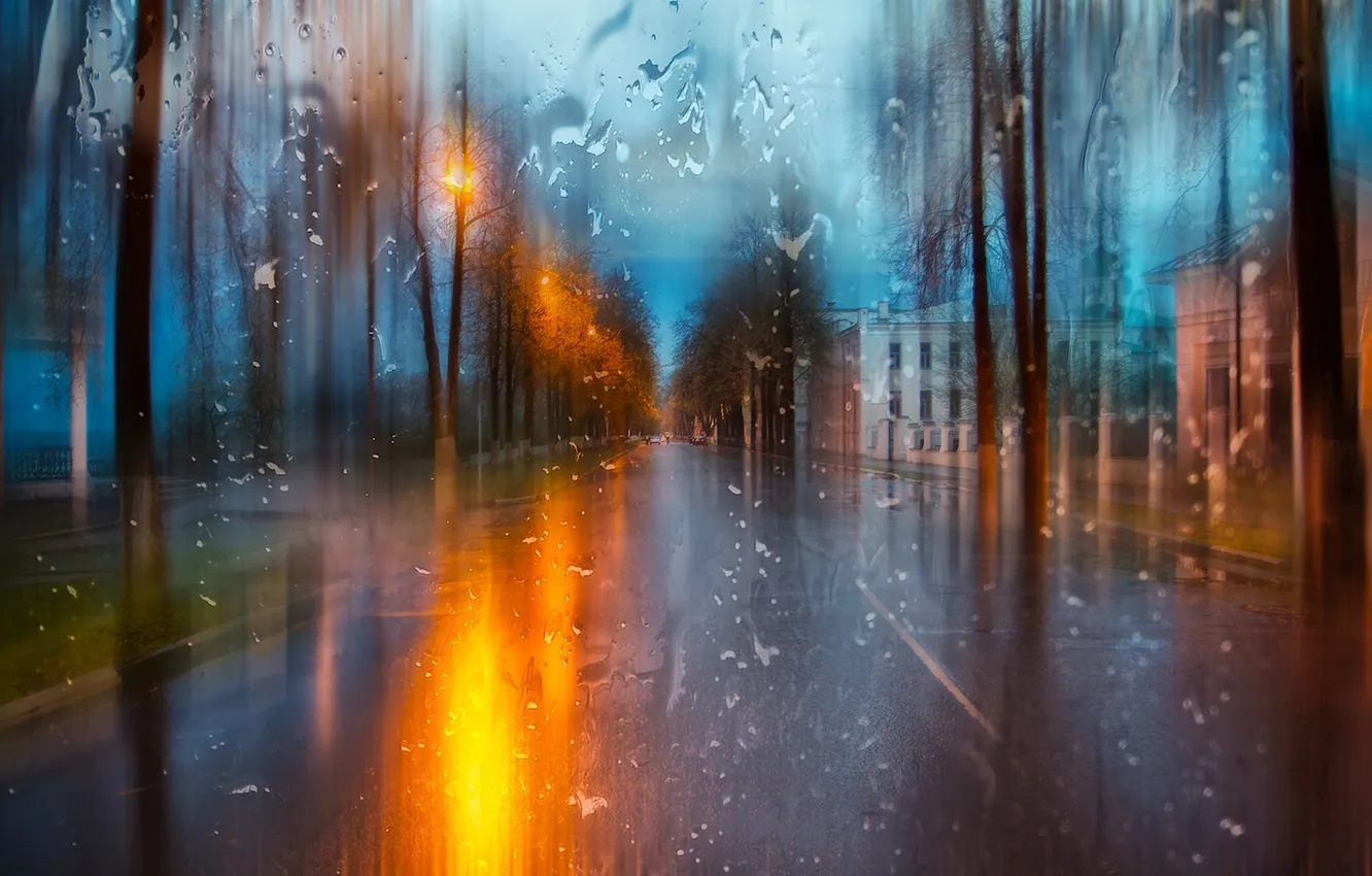 Photo wallpaper nature, the city, rain, the evening