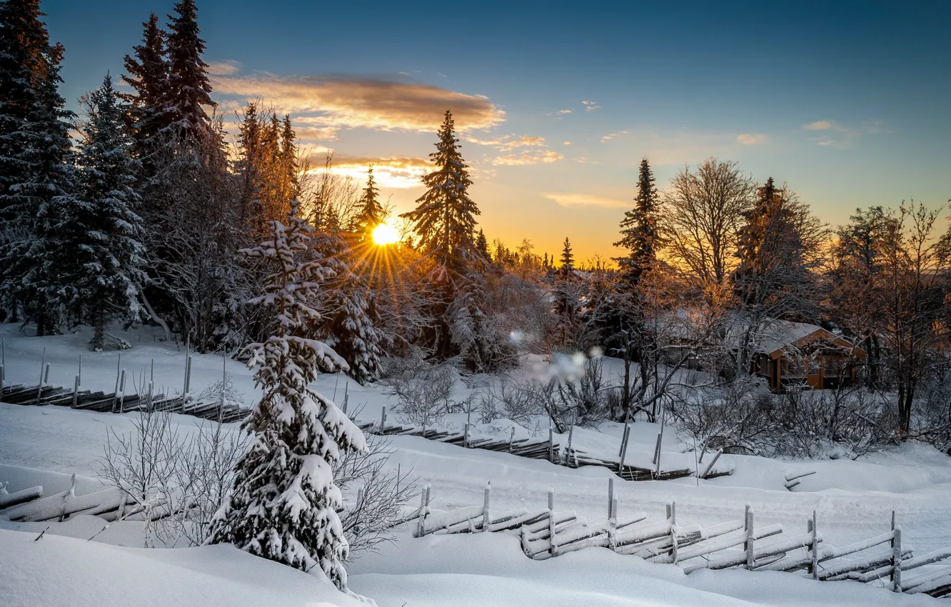 Photo wallpaper winter, forest, sunset, Norway, Norway, Lillehammer, Lillehammer