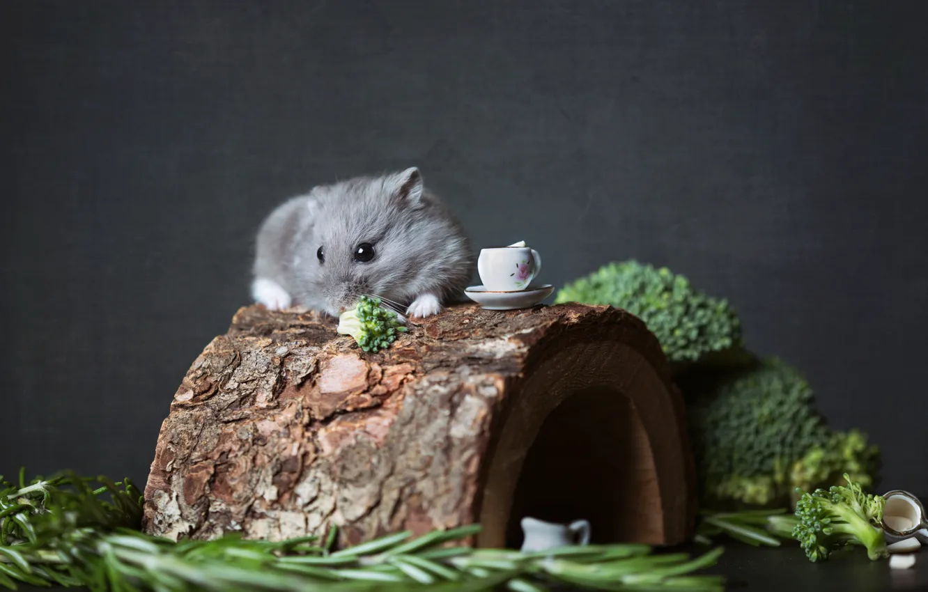 Photo wallpaper greens, look, trees, grey, food, hamster, Nora, mouse