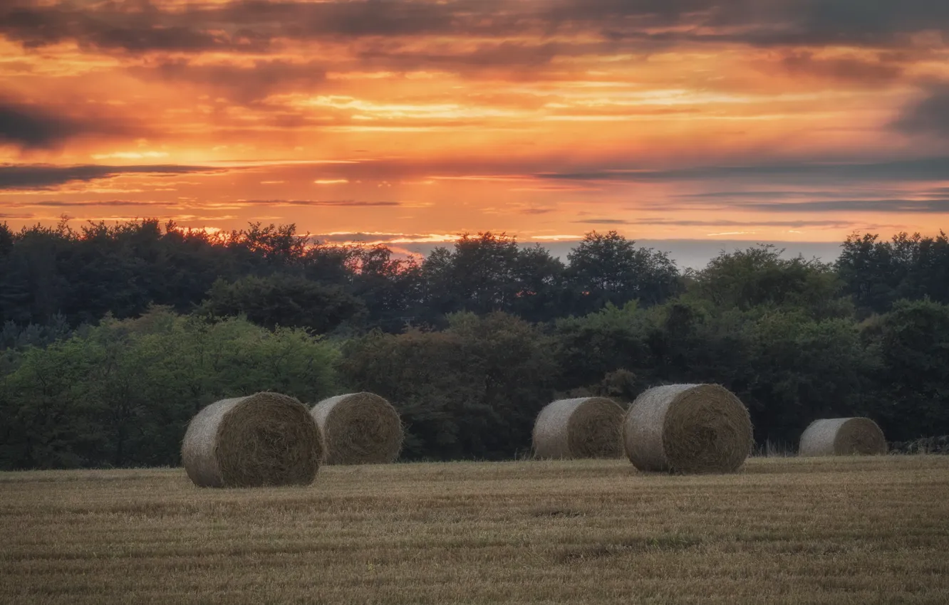 Photo wallpaper field, hay, bales, straw, Kip