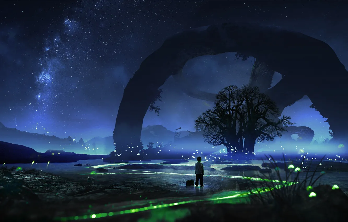 Photo wallpaper the sky, stars, trees, night, fireflies, sleep, boy