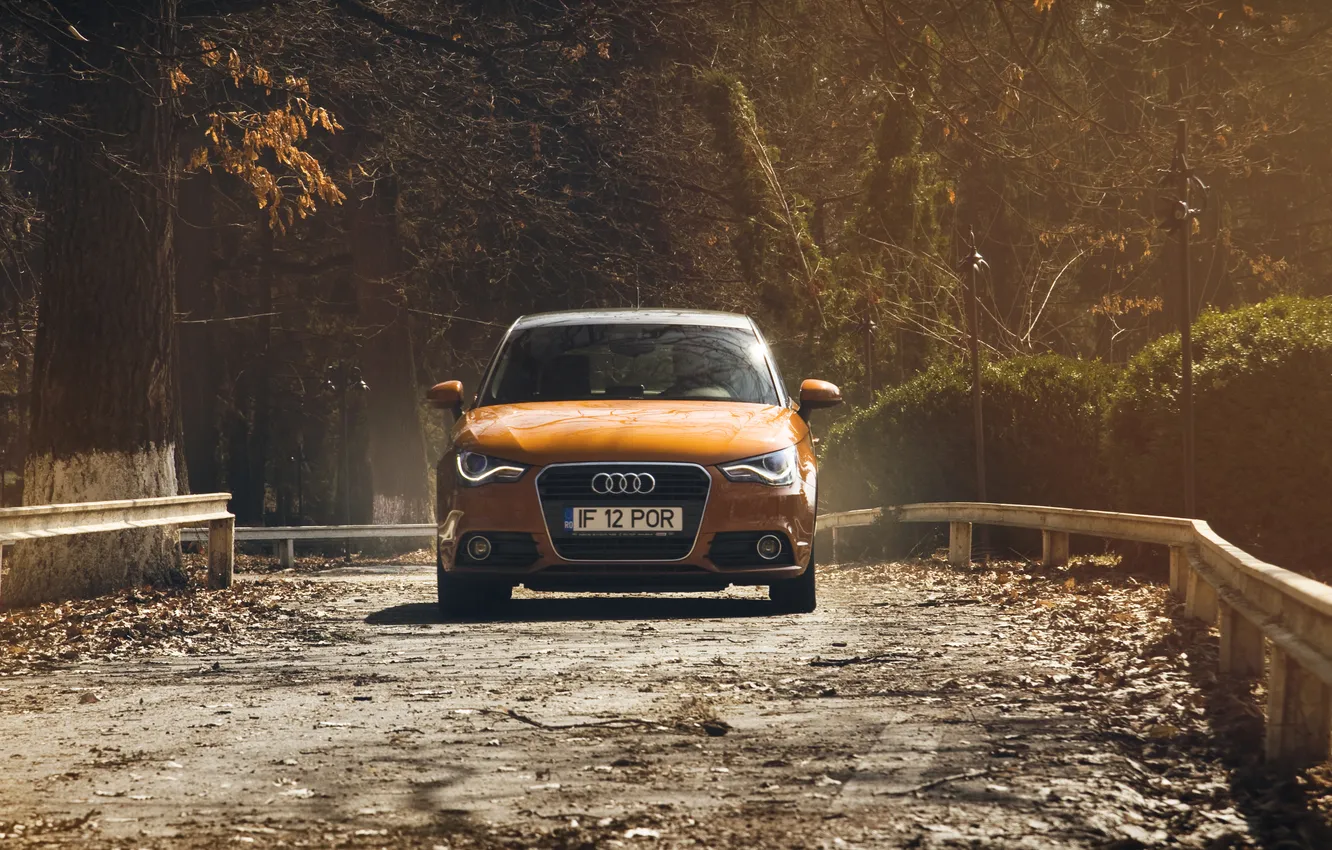 Photo wallpaper road, autumn, Audi, Audi, Sportback, 1.4 TFSI
