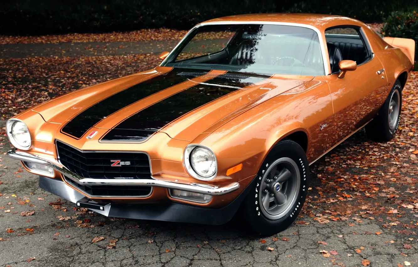 Photo wallpaper leaves, orange, background, coupe, Chevrolet, Camaro, Chevrolet, 1971