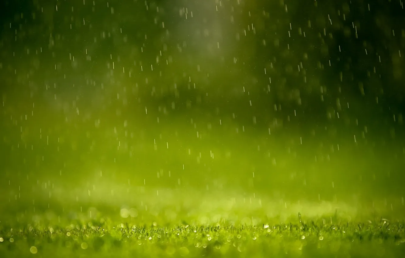 Photo wallpaper greens, grass, drops, squirt, rain