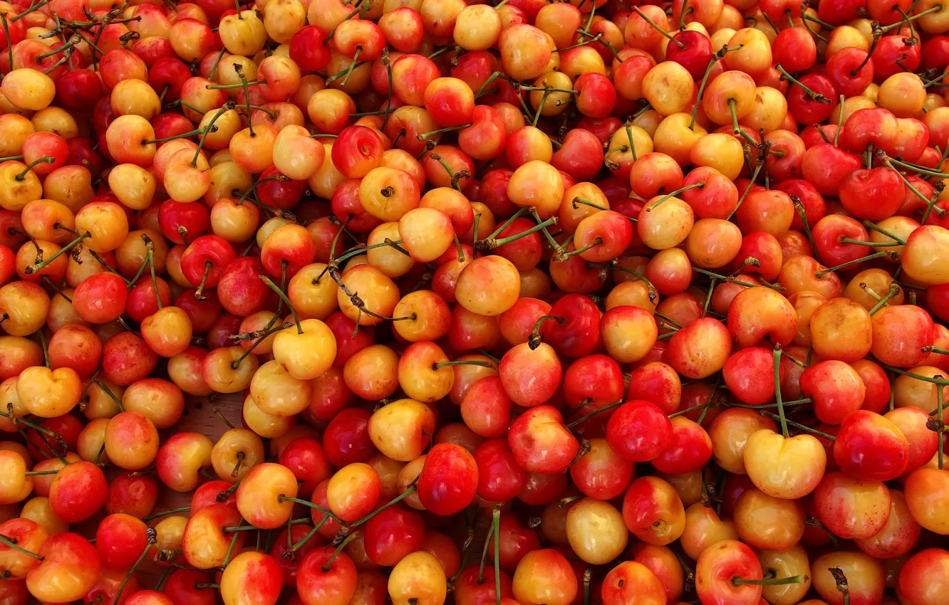 Photo wallpaper orange, yellow, red, berries, food, harvest, a lot, cherry