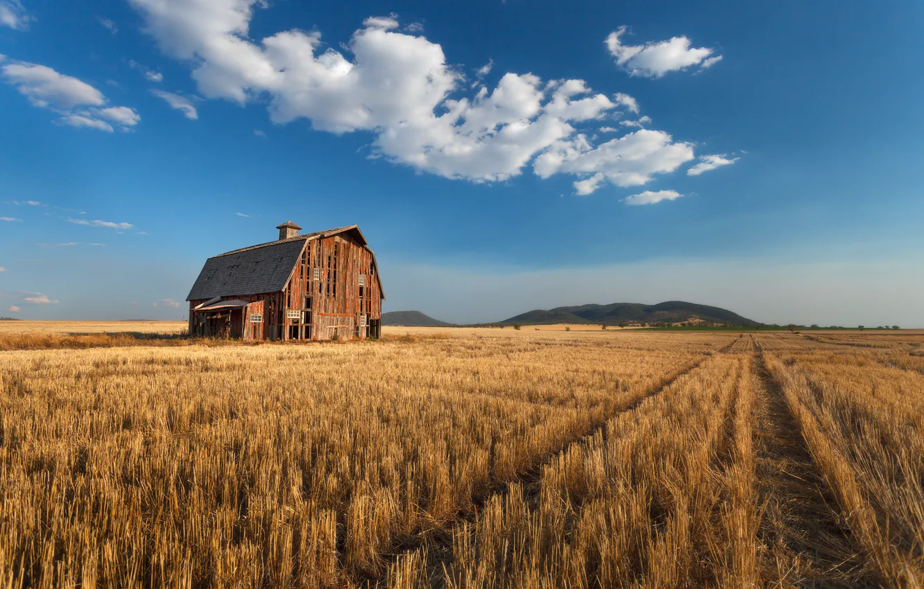 Photo wallpaper hills, horizon, the barn, farm, hills, horizon, barn, farm