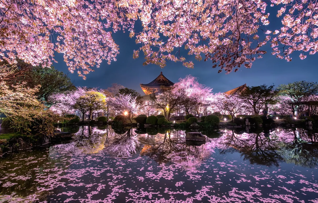 Photo wallpaper light, flowers, night, the city, lights, pond, spring, Japan