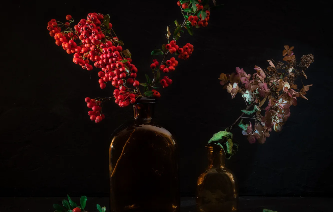 Photo wallpaper flowers, branches, berries, the dark background, table, bottle, bouquet, still life