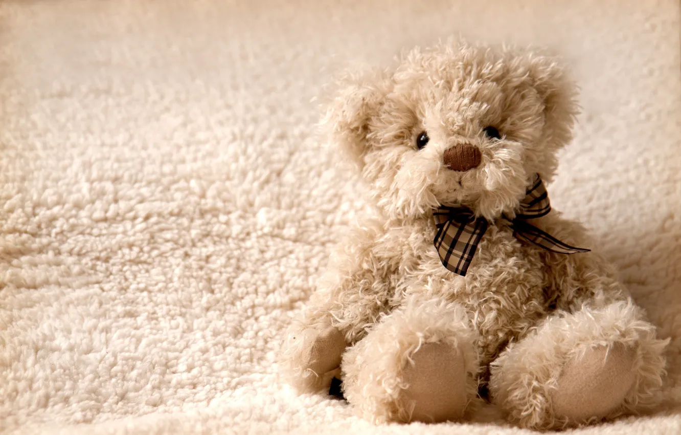Photo wallpaper toy, bear, plush, teddy bear