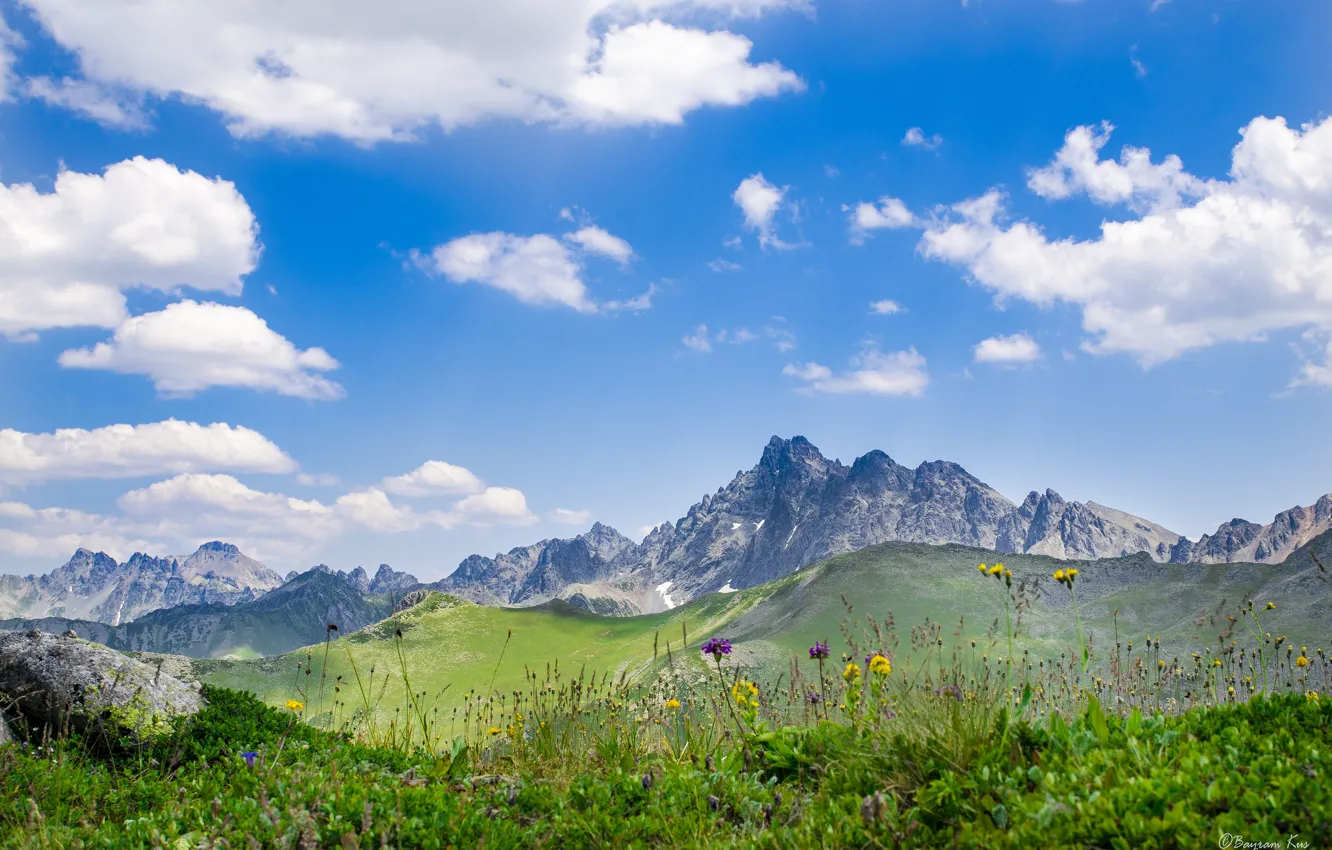 Photo wallpaper the sky, clouds, landscape, flowers, mountains, nature, meadow