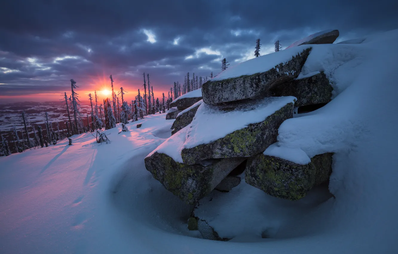 Photo wallpaper winter, forest, the sun, snow, trees, sunset, nature, stones