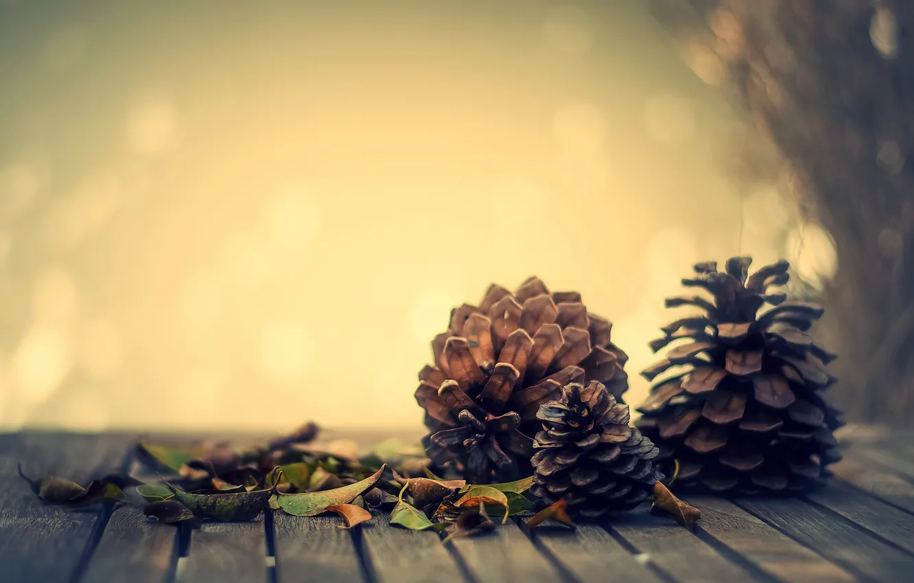 Photo wallpaper autumn, leaves, mood, bumps, bokeh