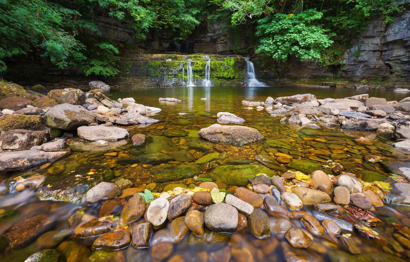 Photo wallpaper forest, rocks, shore, waterfall, stream