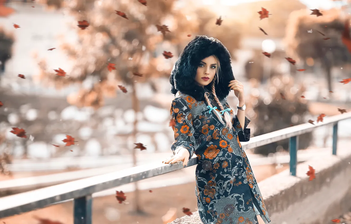 Photo wallpaper girl, falling leaves, Alessandro Di Cicco, Autumn beauty