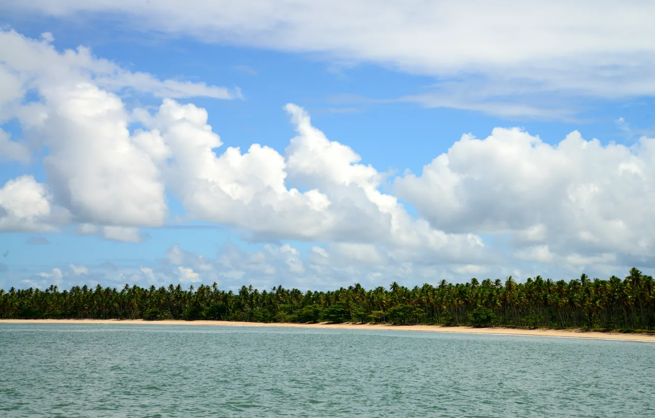 Photo wallpaper nature, landscapes, Brazil, Bahia, South American