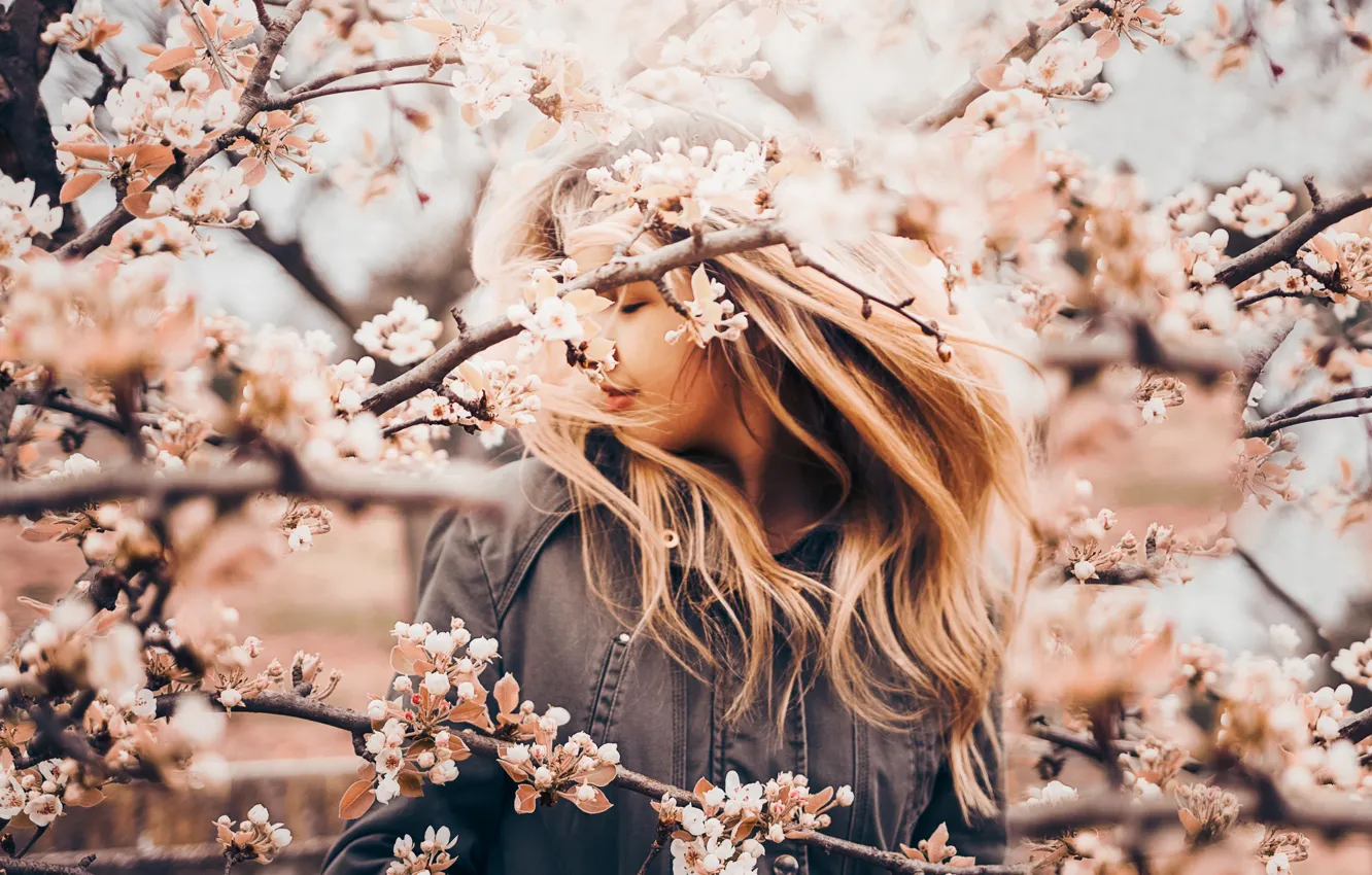 Photo wallpaper girl, branches, mood, spring, Apple, flowering