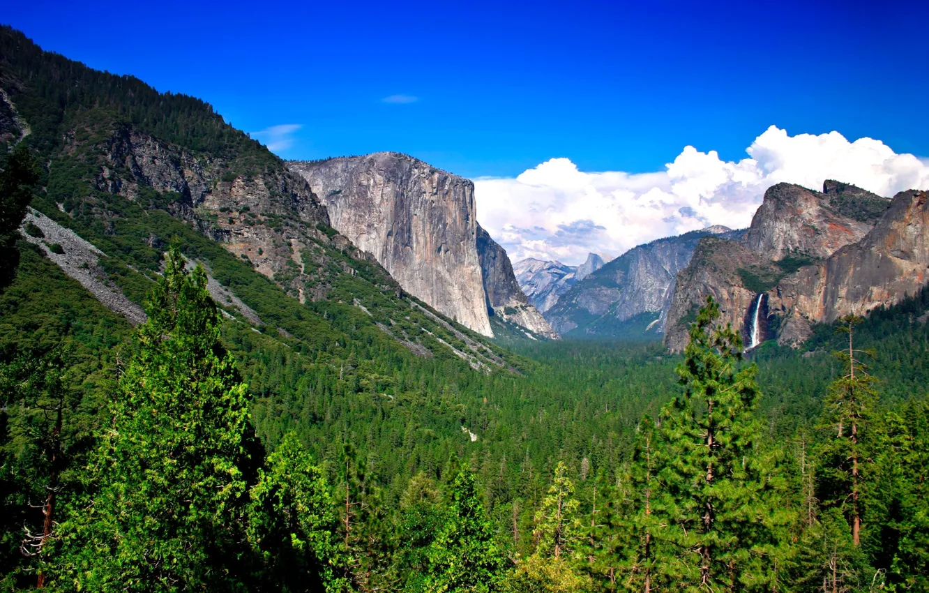Photo wallpaper forest, mountains, nature, waterfall, mountains, Yosemite NP, windows-8