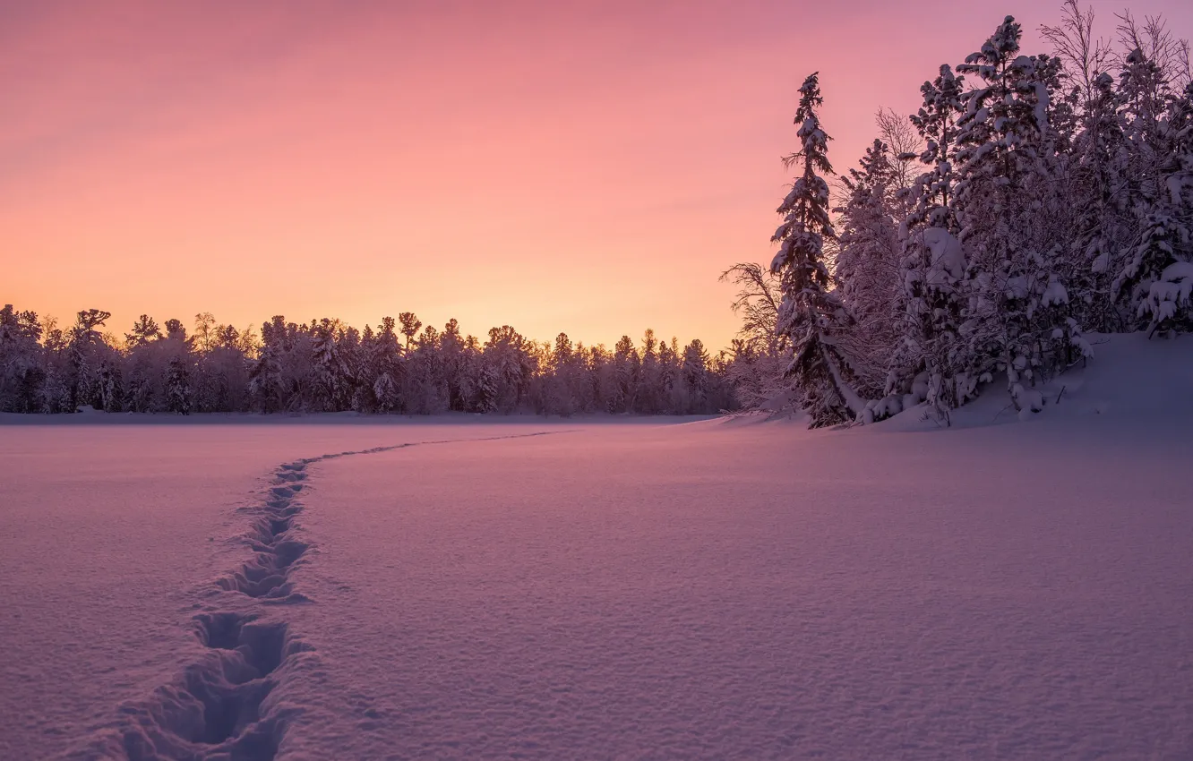 Photo wallpaper winter, snow, night, traces