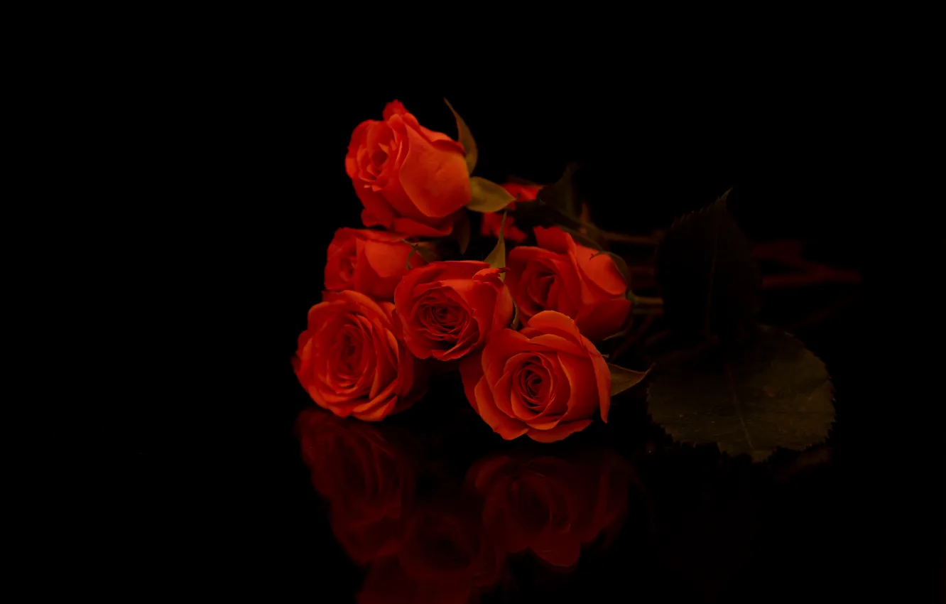 Photo wallpaper red, roses, bouquet, black background