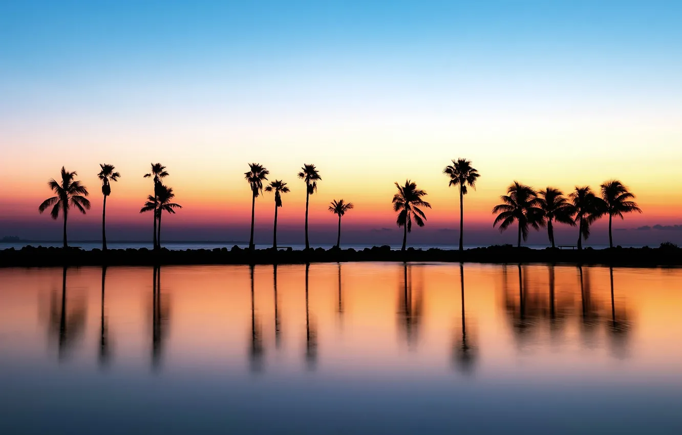 Photo wallpaper palm trees, beauty, the evening, FL, horizon, USA, water surface, Miami