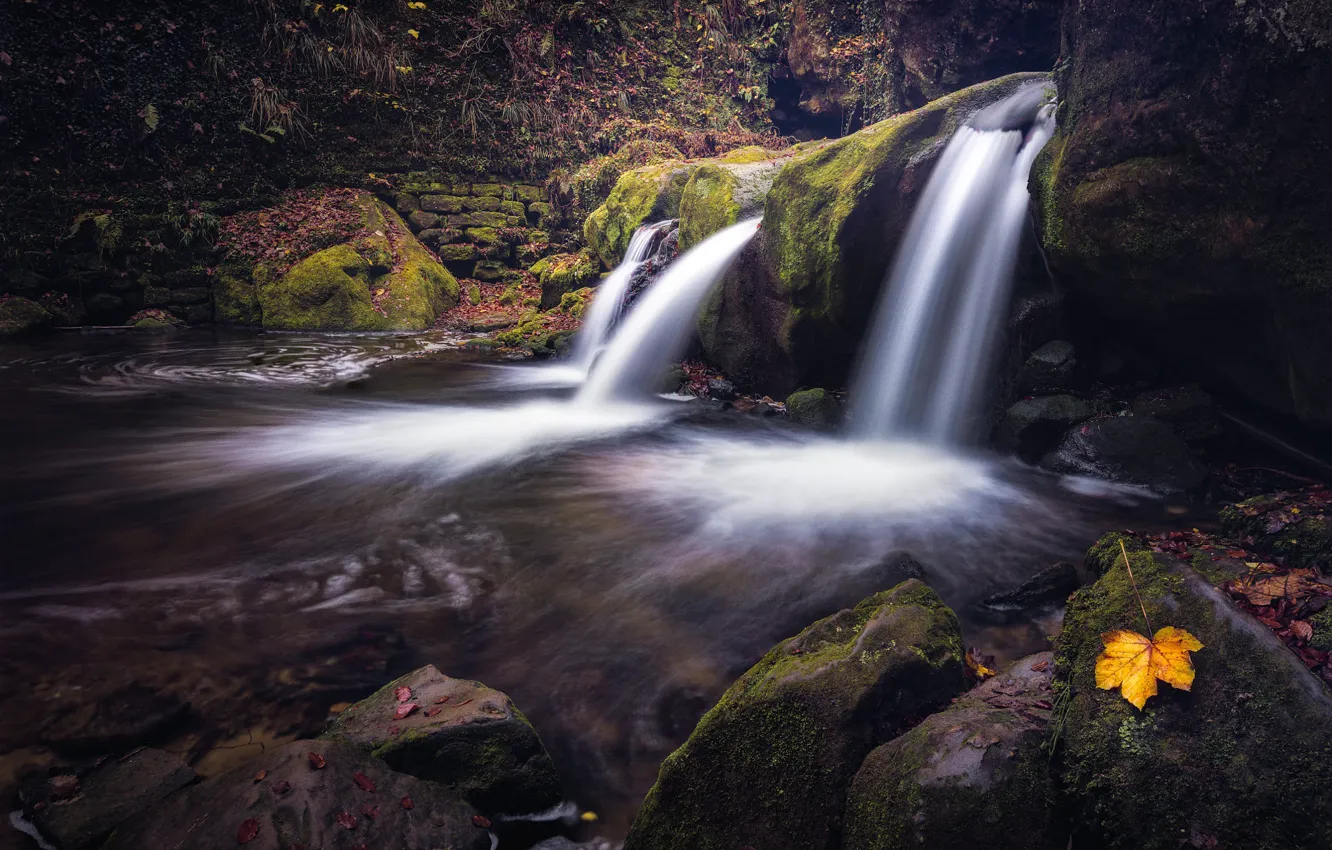 Photo wallpaper yellow, stones, rocks, shore, leaf, waterfall, stream, maple