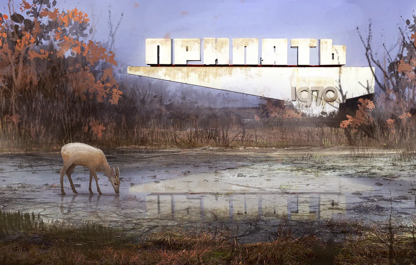 Photo wallpaper reflection, vegetation, deer, Pripyat, Welcome to Pripyat