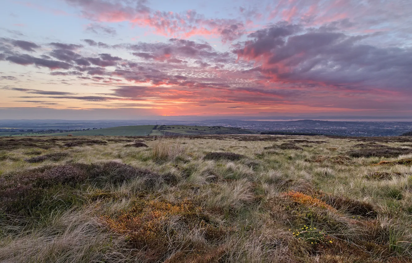 Photo wallpaper field, sunset, the evening, meadow