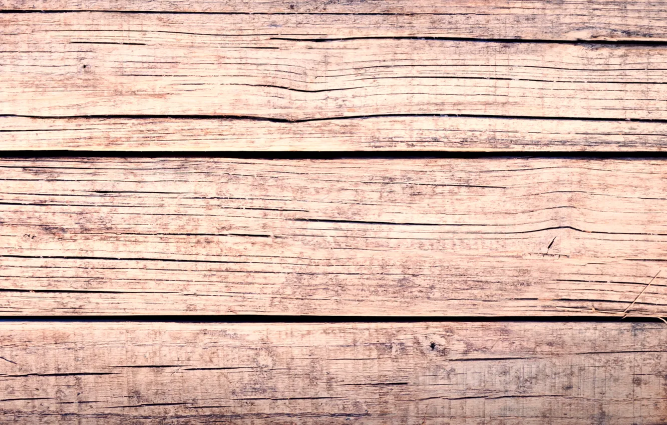 Photo wallpaper trees, Board, texture