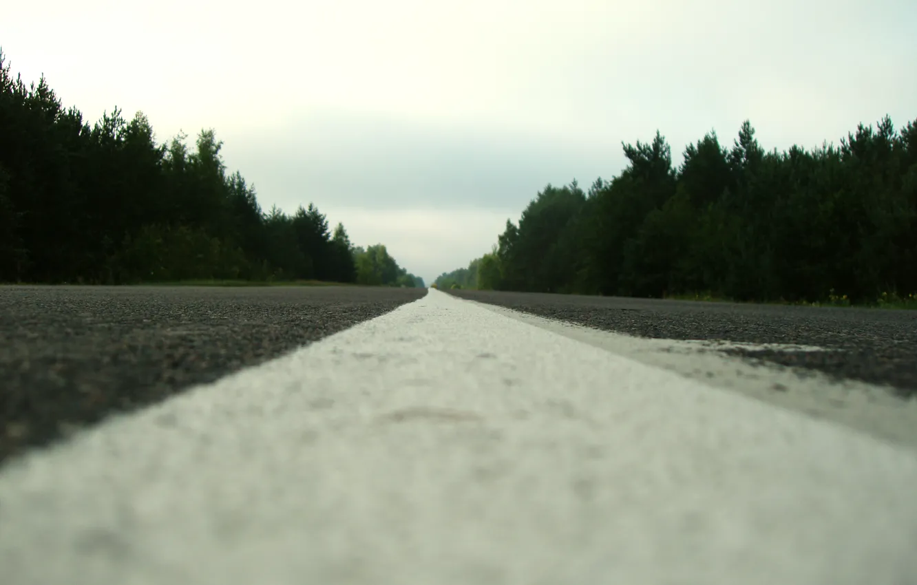 Photo wallpaper road, forest, asphalt, track, ate, highway, pine, road markings