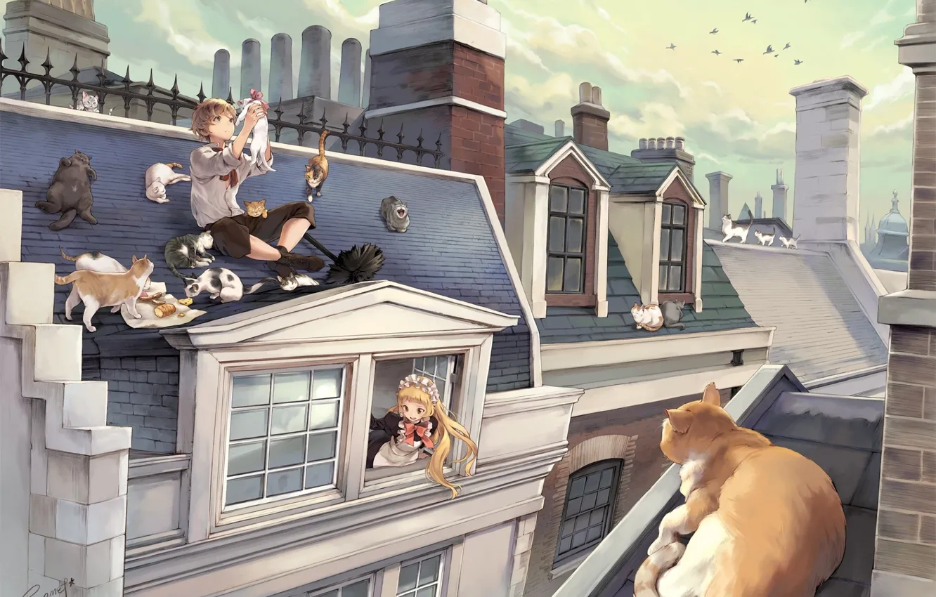 Photo wallpaper roof, cat, the sky, the city, bird, boy, pipe, a lot