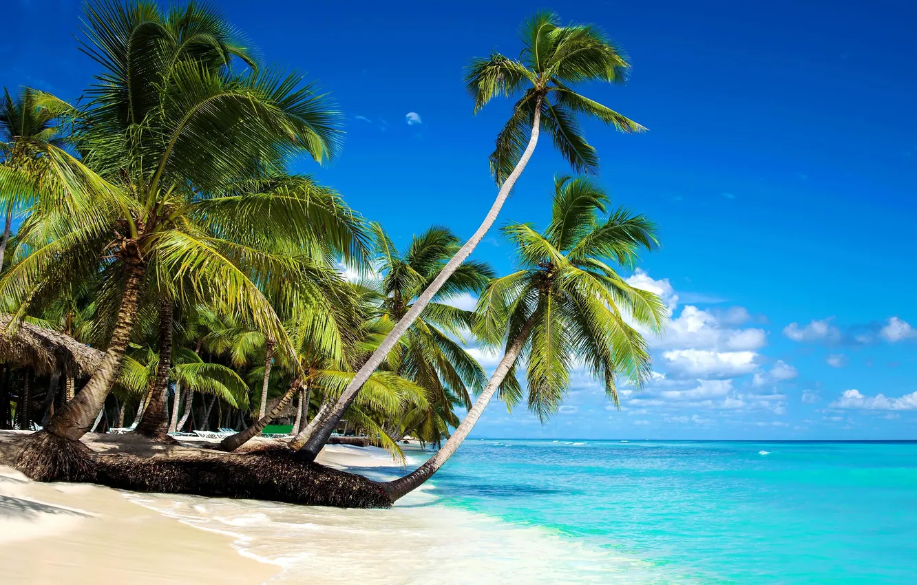 Photo wallpaper beach, summer, clouds, palm trees, the ocean, stay, coast, beauty